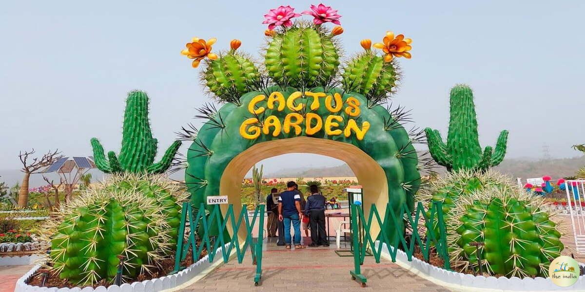 Cactus Garden