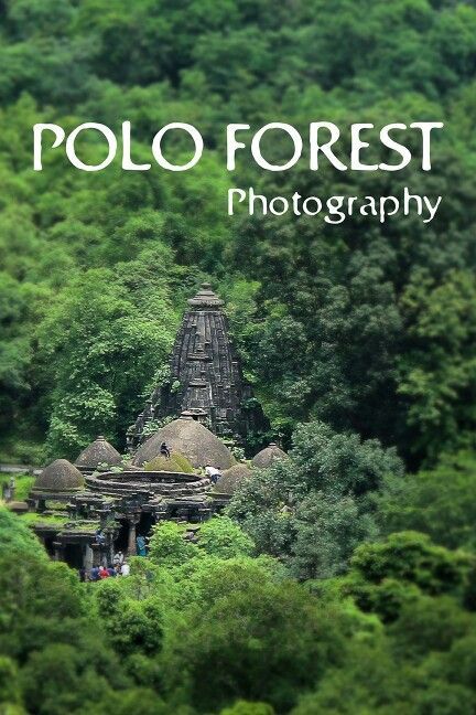 Polo Forest