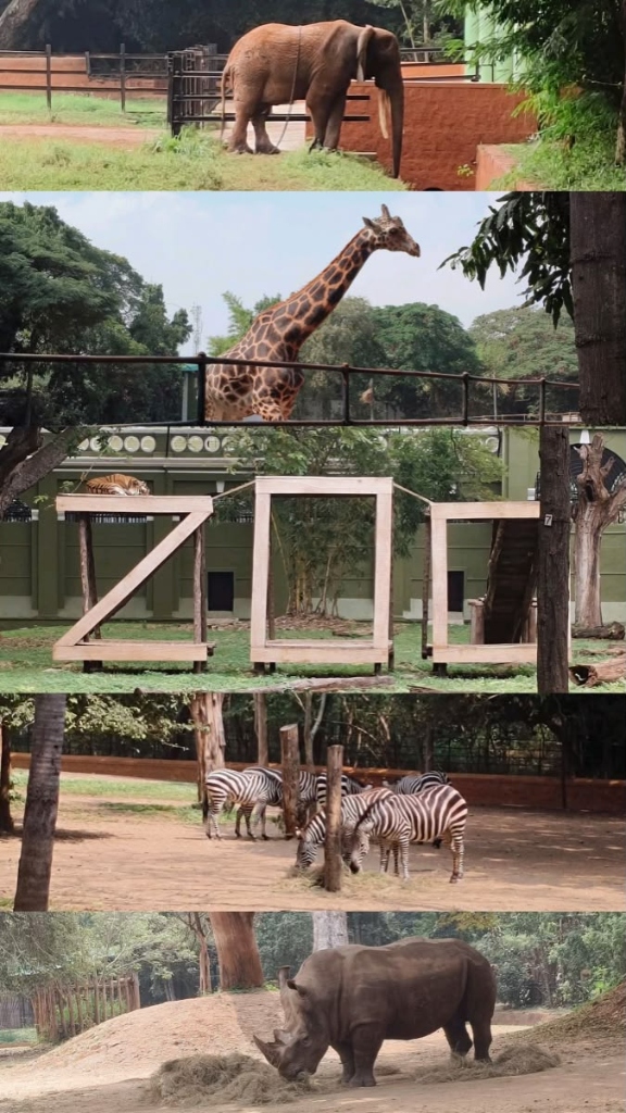 Sakkarbaug Zoo