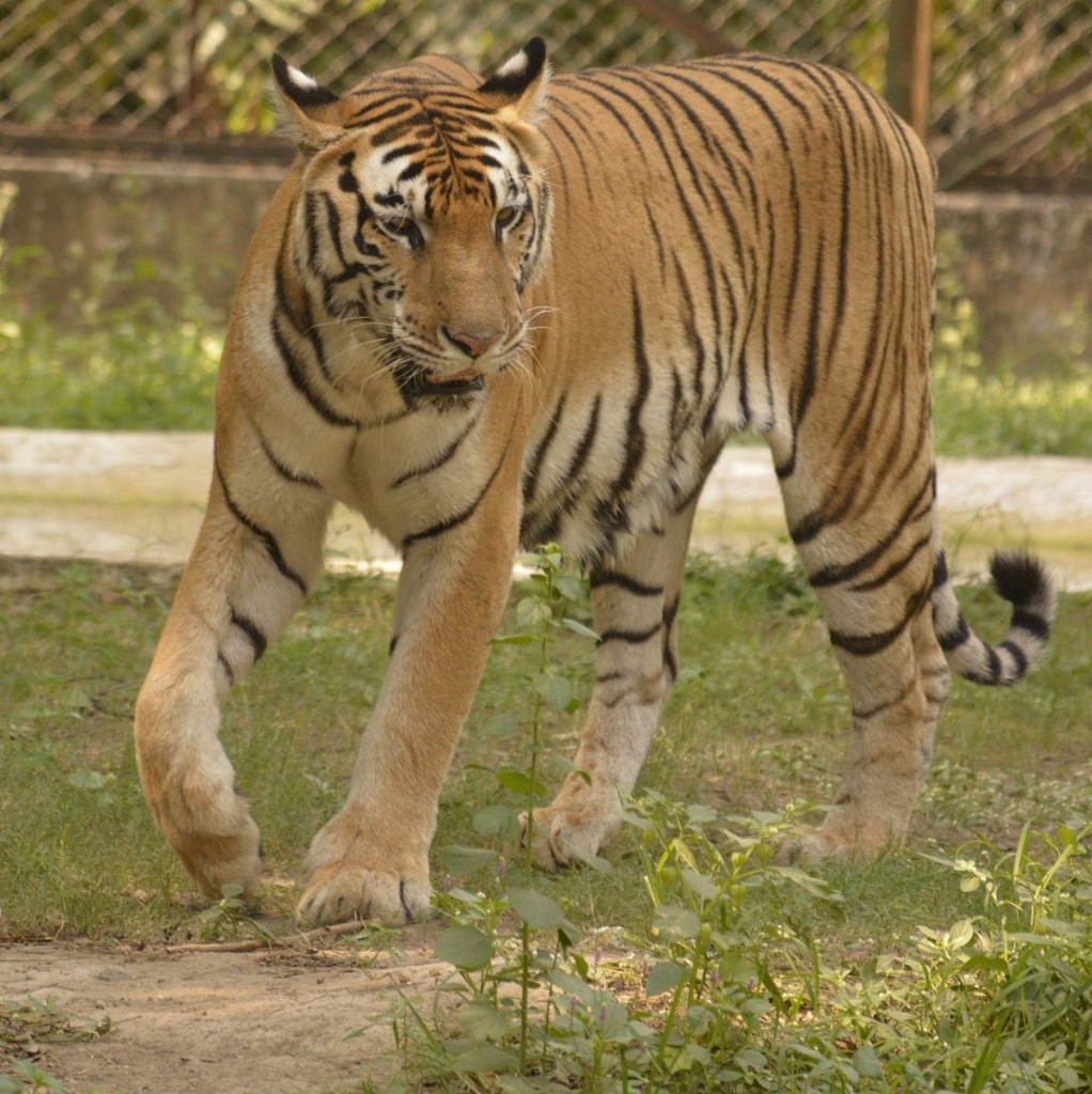 Sarthana Nature Park