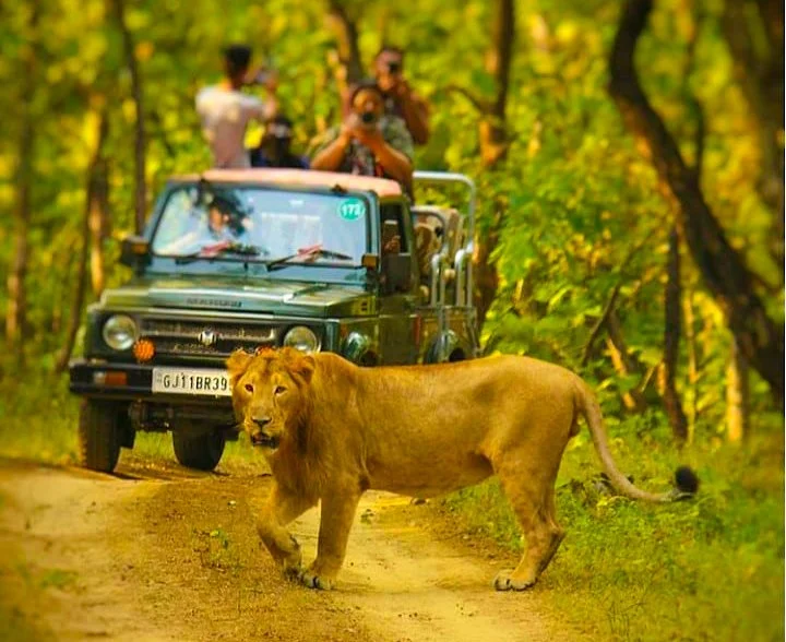 Devalia Safari Park