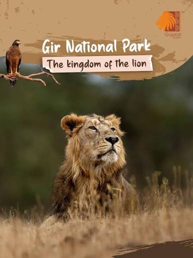 Gir National Park